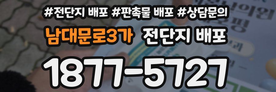 남대문로3가 전단지 배포