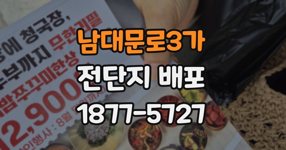 남대문로3가 전단지 배포