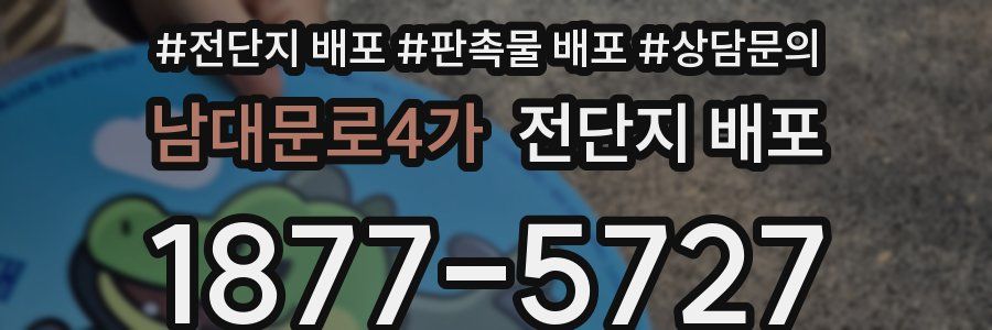 남대문로4가 전단지 배포