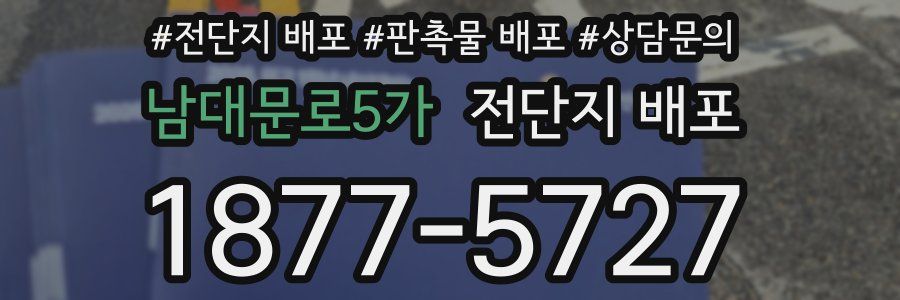 남대문로5가 전단지 배포