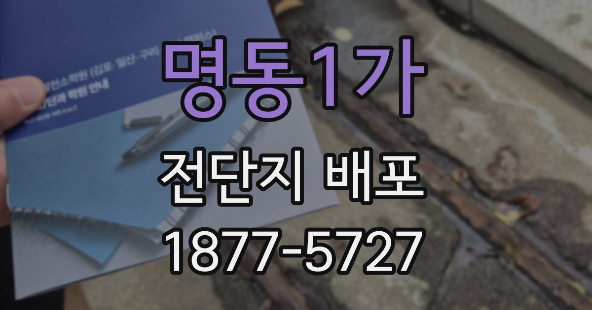 명동1가 전단지 배포