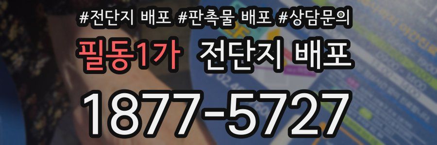 필동1가 전단지 배포