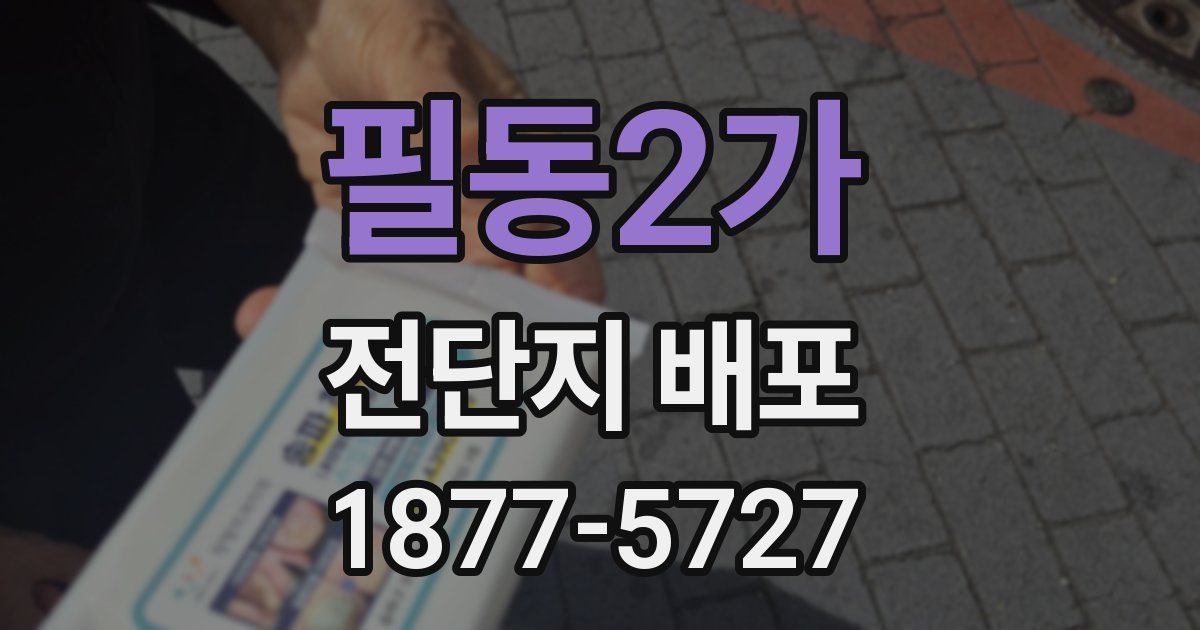 필동2가 전단지 배포