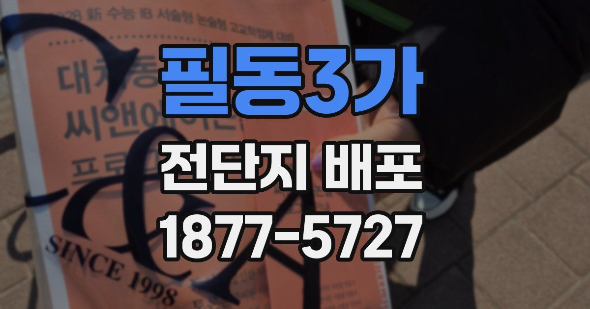 필동3가 전단지 배포