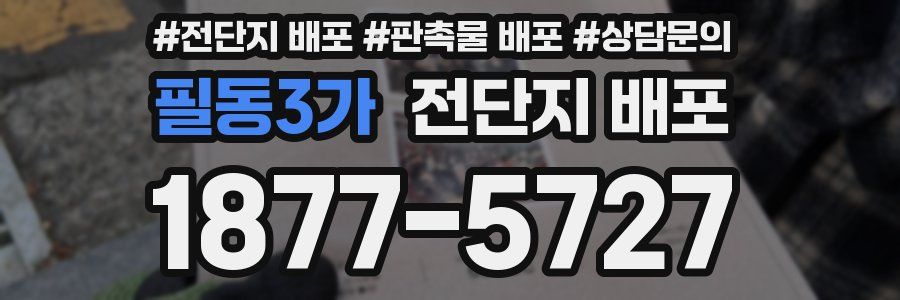 필동3가 전단지 배포