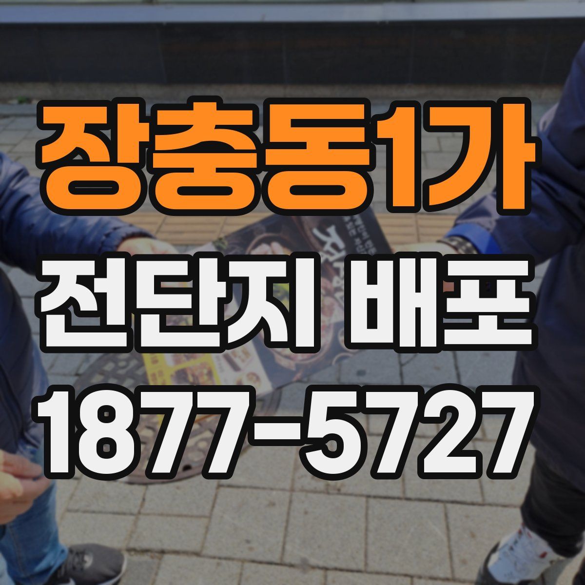 장충동1가 전단지 배포