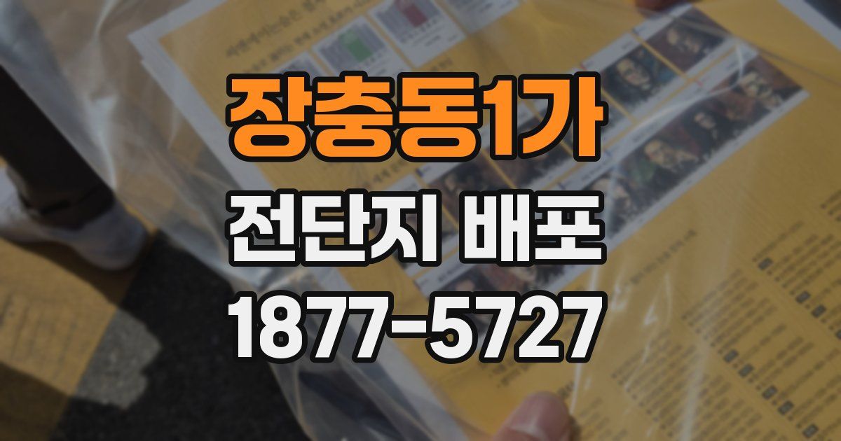 장충동1가 전단지 배포