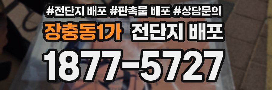 장충동1가 전단지 배포