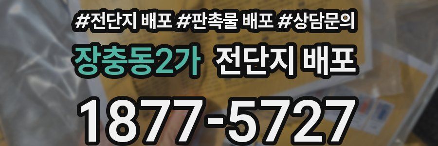 장충동2가 전단지 배포