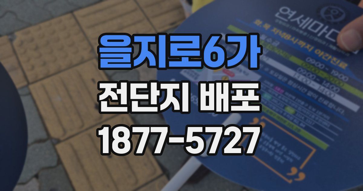 을지로6가 전단지 배포