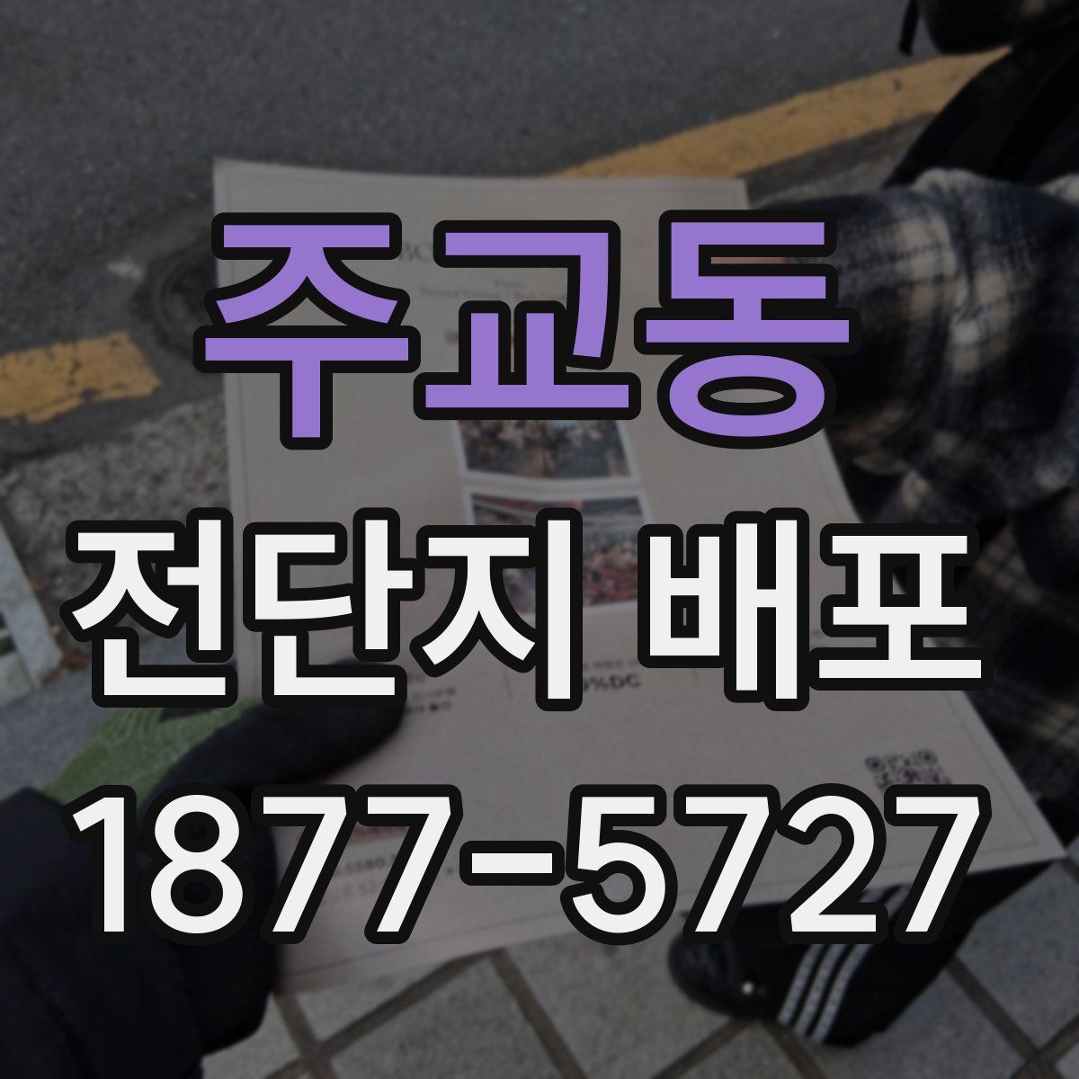 주교동 전단지 배포