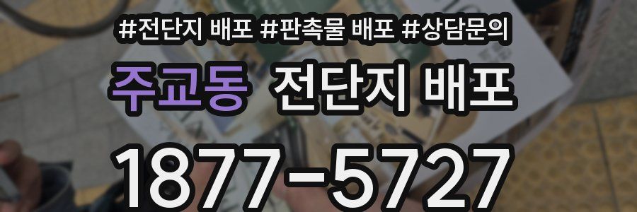 주교동 전단지 배포