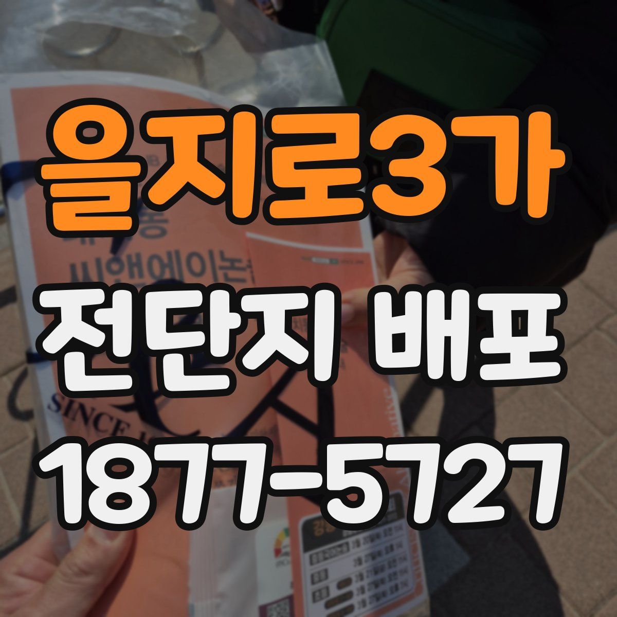 을지로3가 전단지 배포