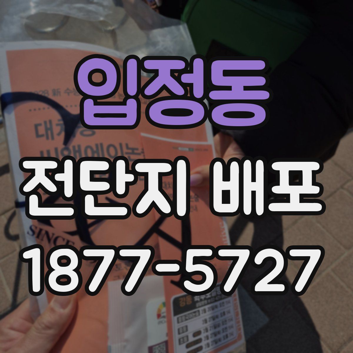 입정동 전단지 배포