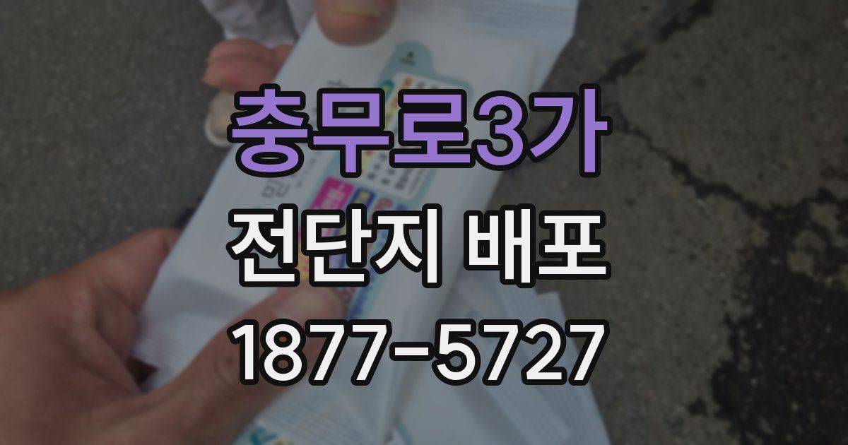 충무로3가 전단지 배포