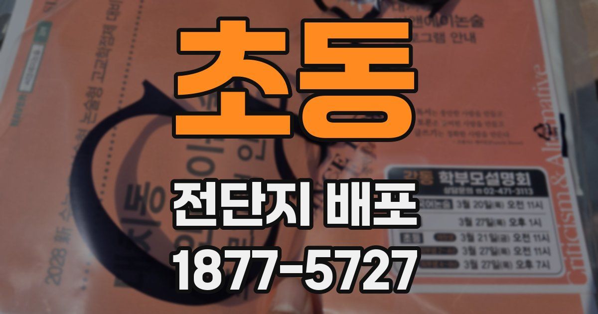 초동 전단지 배포