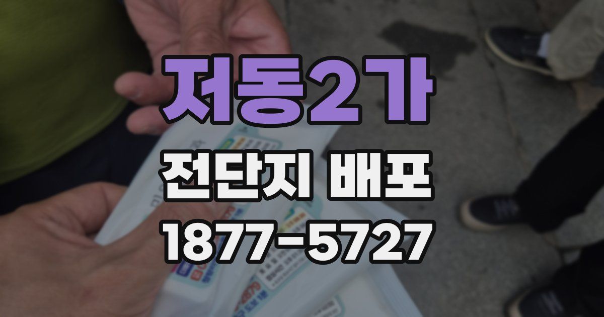 저동2가 전단지 배포