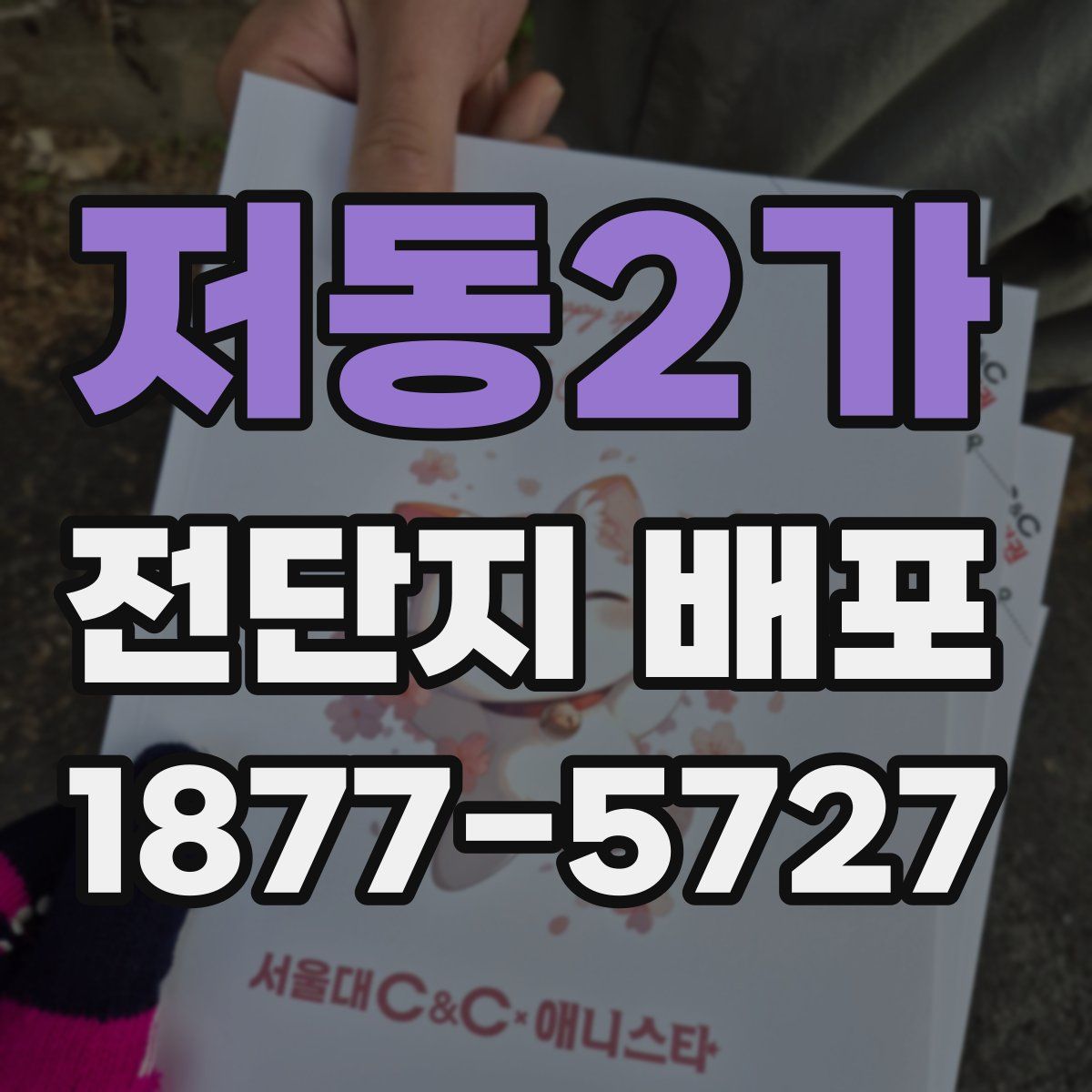저동2가 전단지 배포