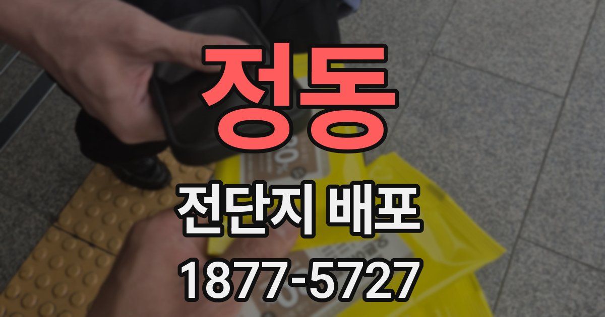 정동 전단지 배포