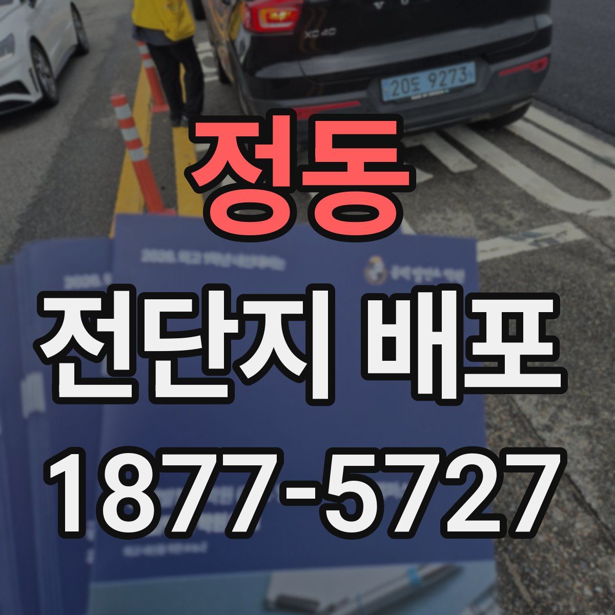 정동 전단지 배포