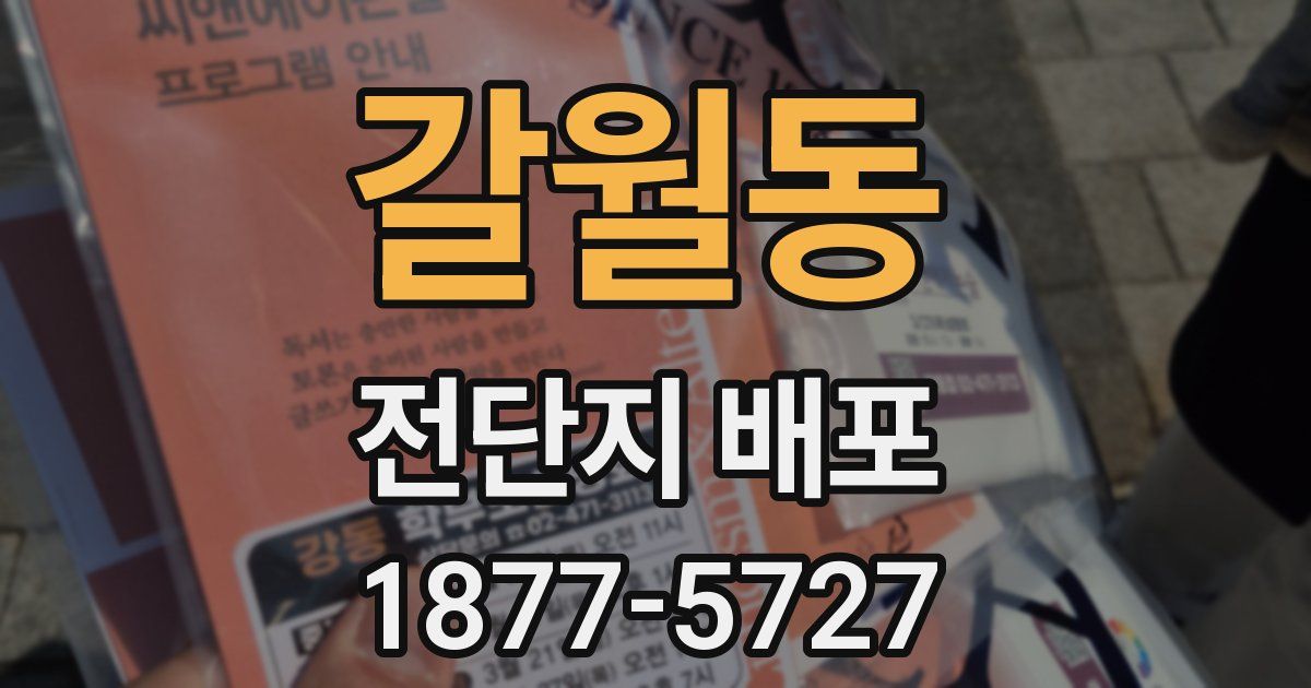 갈월동 전단지 배포