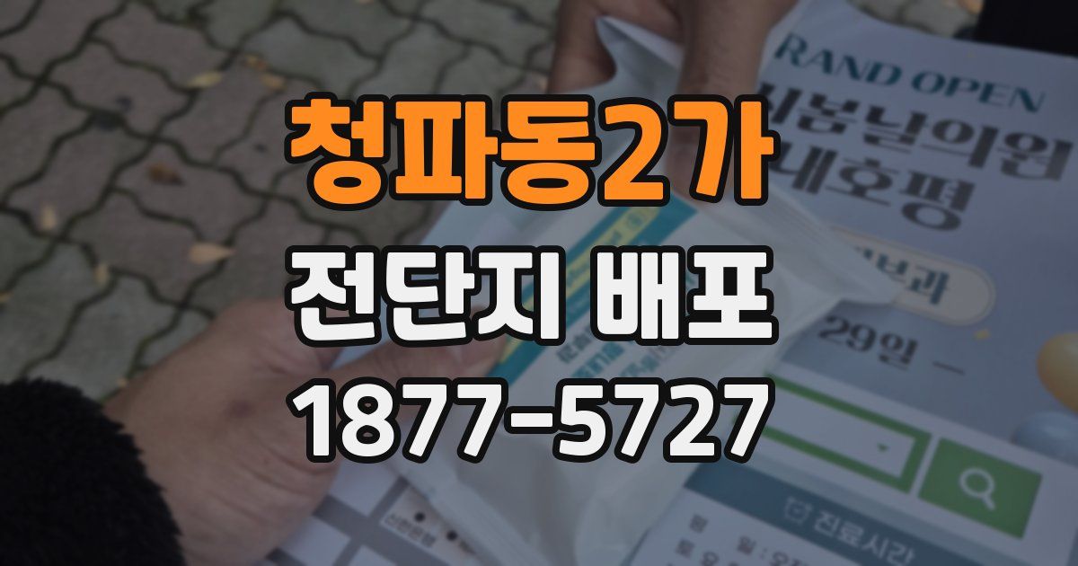 청파동2가 전단지 배포