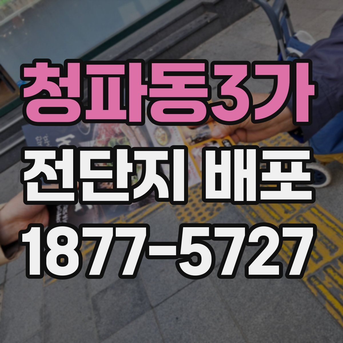 청파동3가 전단지 배포