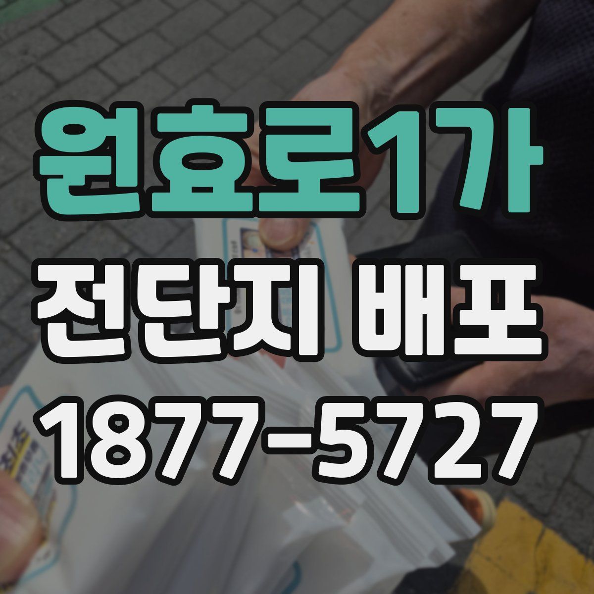 원효로1가 전단지 배포