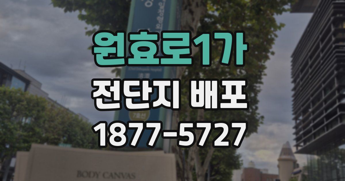 원효로1가 전단지 배포