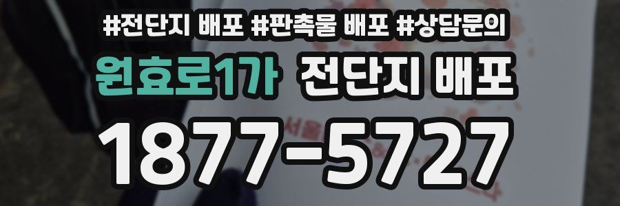 원효로1가 전단지 배포