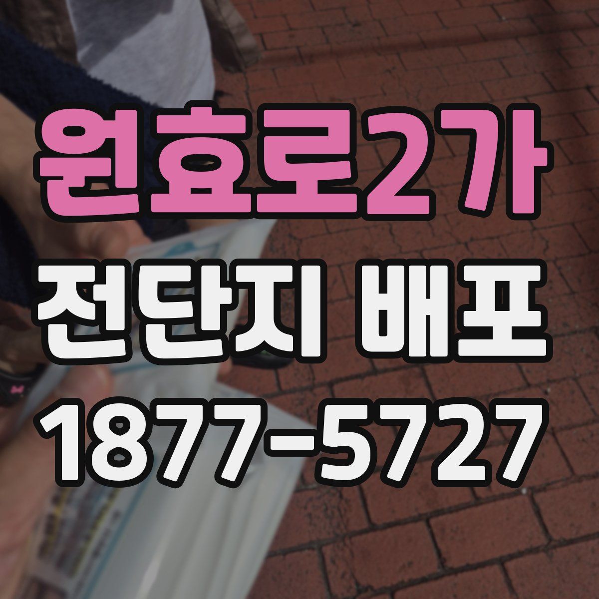 원효로2가 전단지 배포