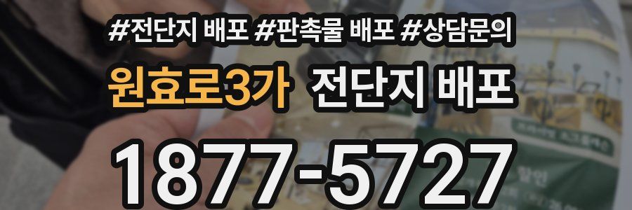 원효로3가 전단지 배포