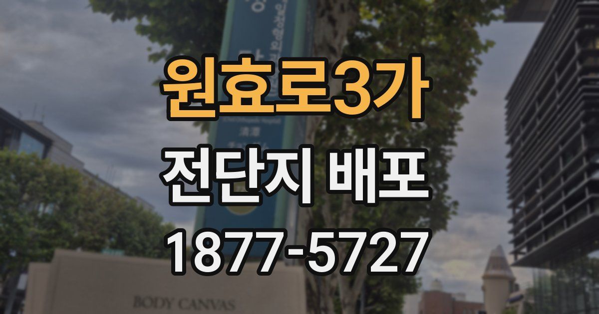 원효로3가 전단지 배포