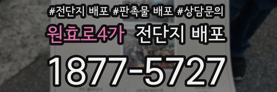 원효로4가 전단지 배포