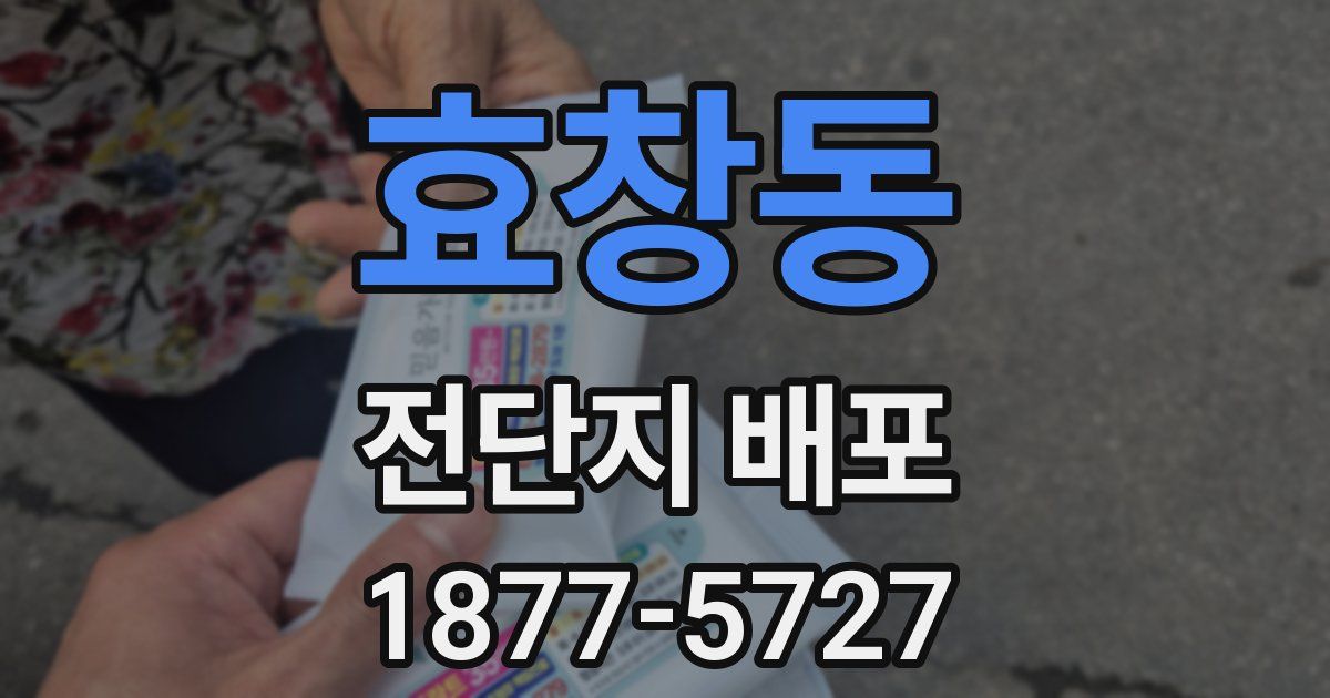 효창동 전단지 배포