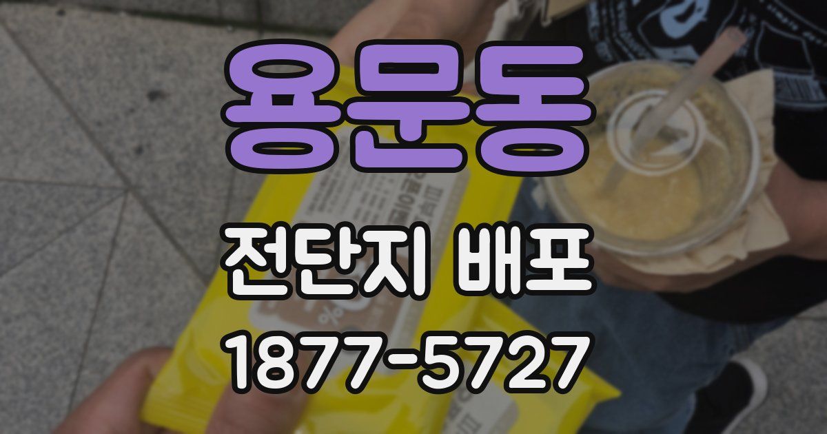 용문동 전단지 배포