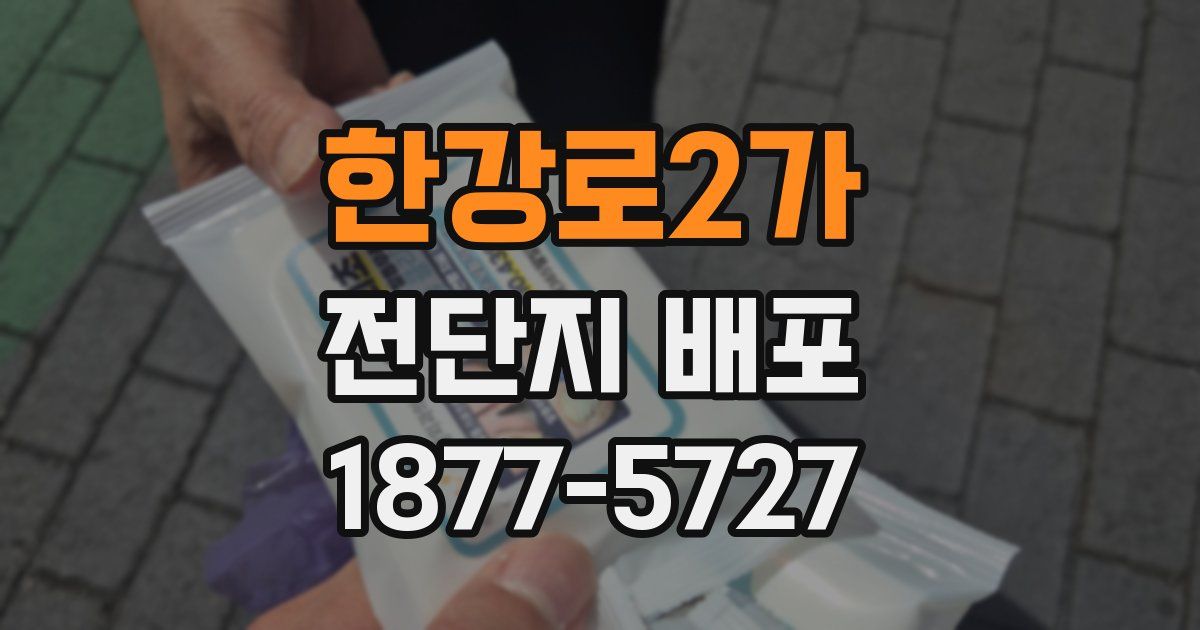 한강로2가 전단지 배포