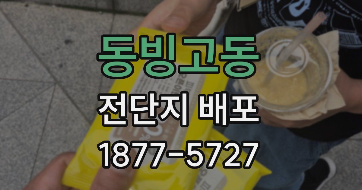 동빙고동 전단지 배포
