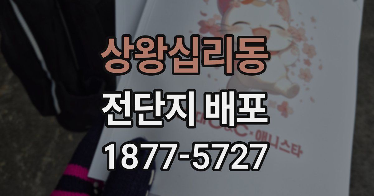 상왕십리동 전단지 배포