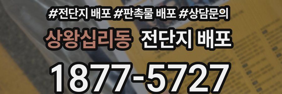 상왕십리동 전단지 배포