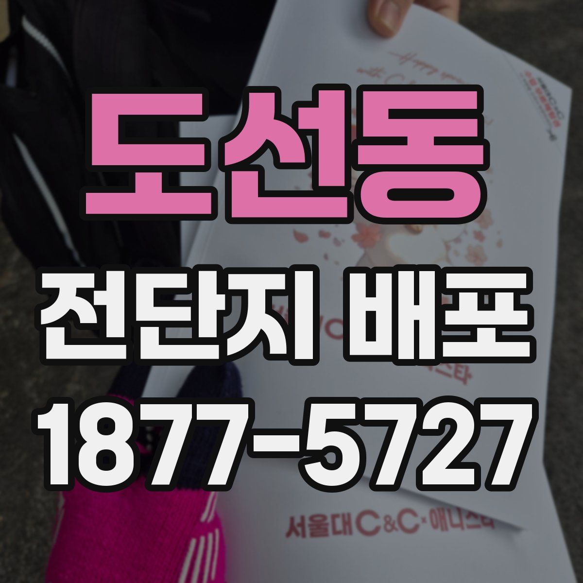 도선동 전단지 배포