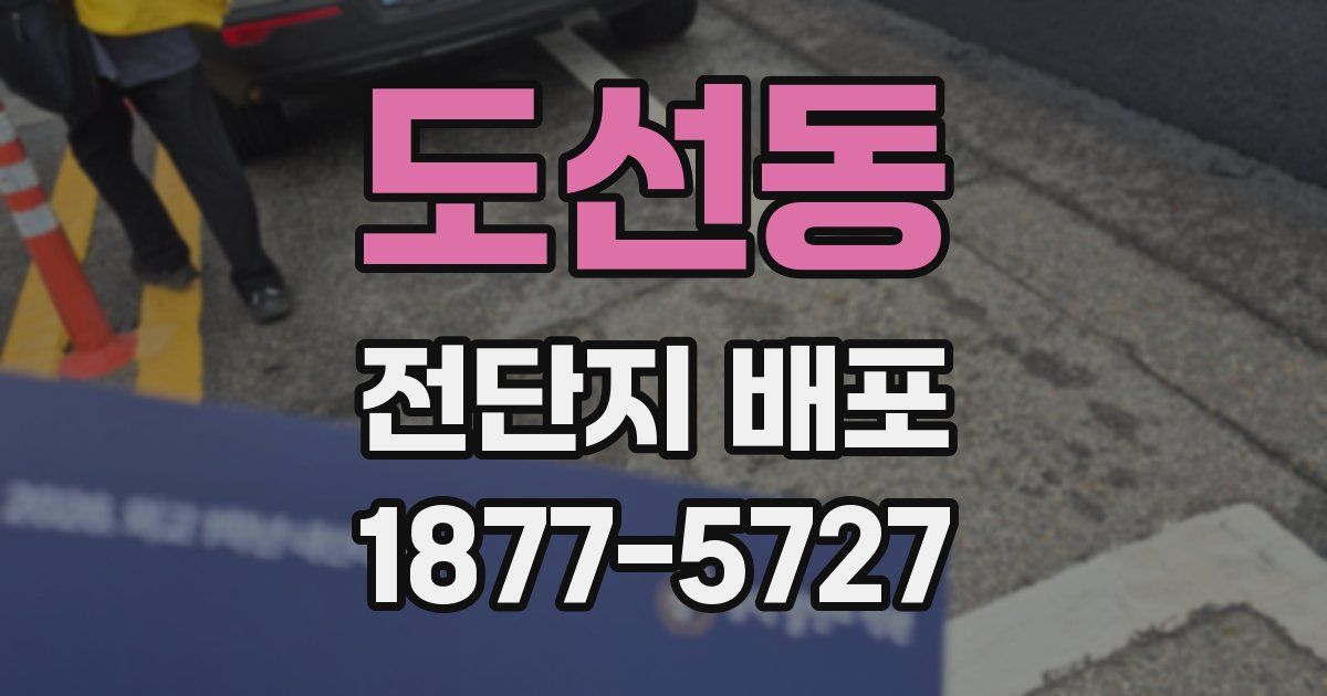 도선동 전단지 배포