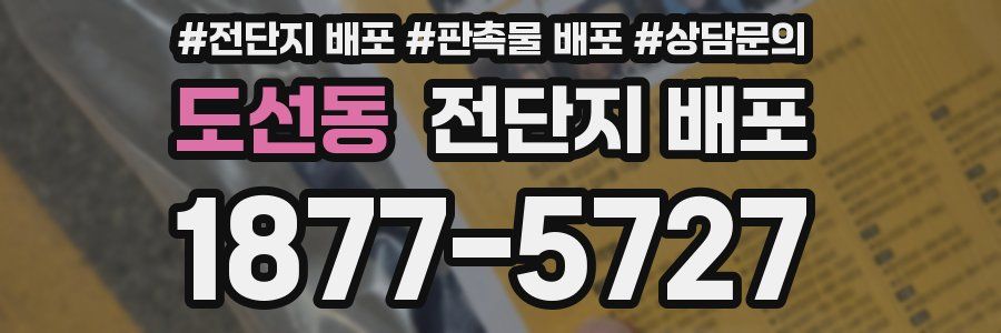 도선동 전단지 배포