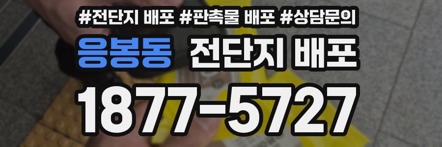 응봉동 전단지 배포