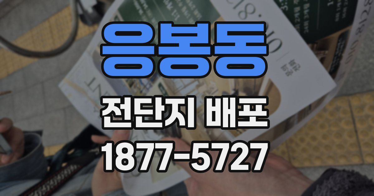 응봉동 전단지 배포