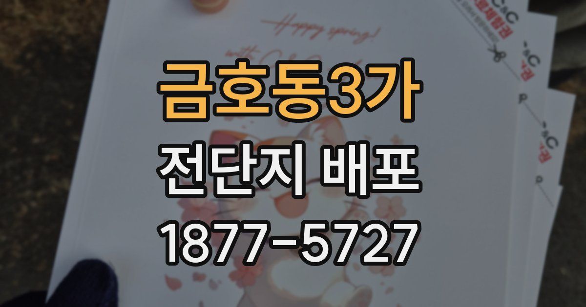 금호동3가 전단지 배포