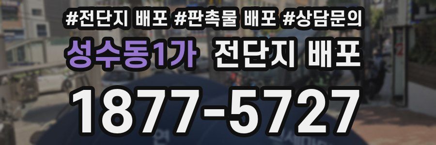 성수동1가 전단지 배포