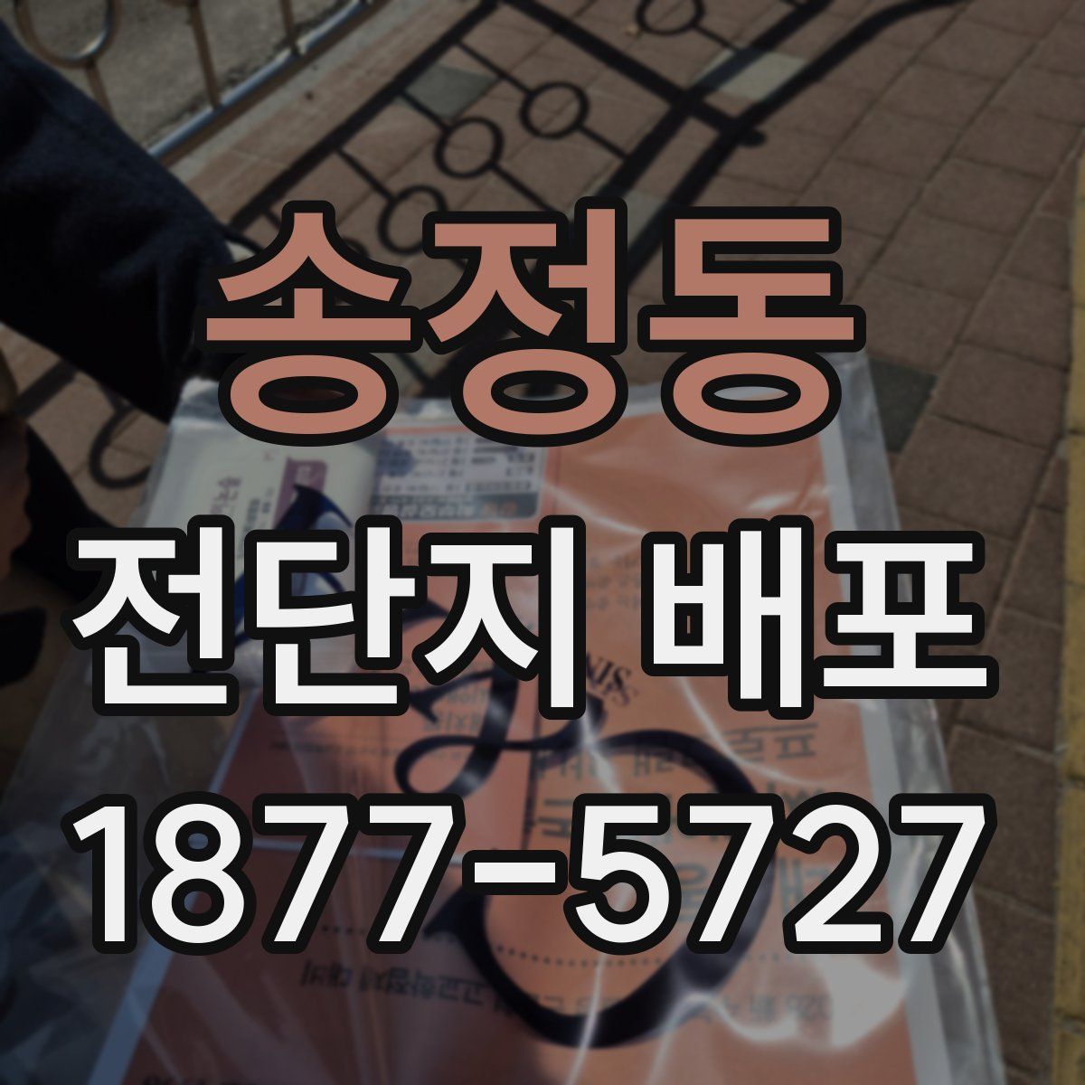 송정동 전단지 배포