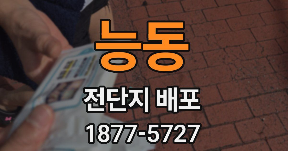 능동 전단지 배포