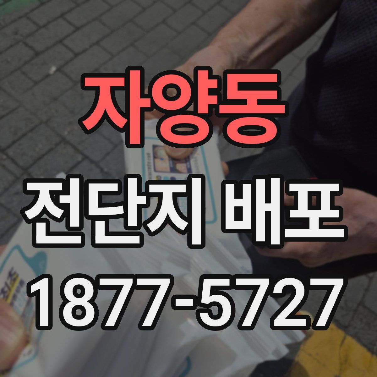 자양동 전단지 배포